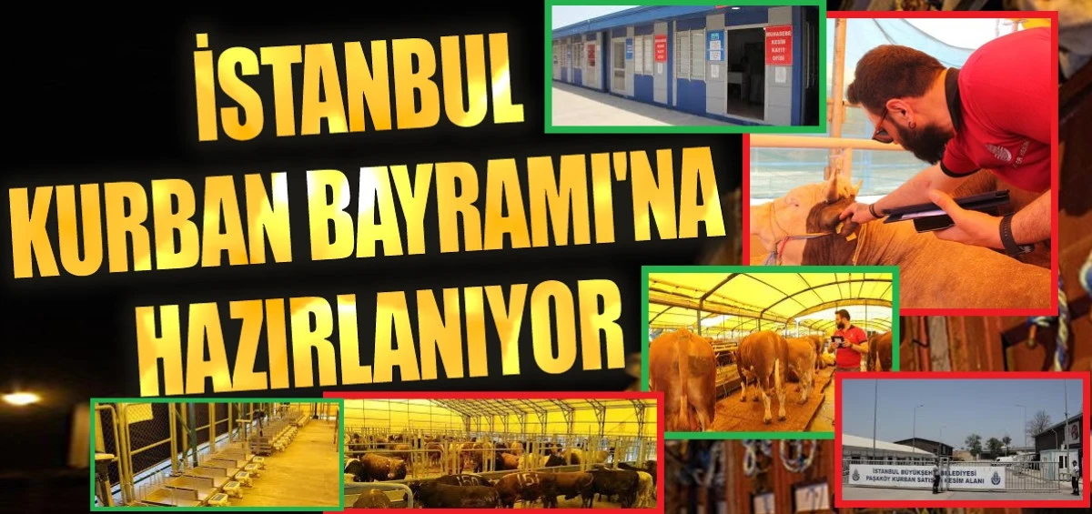 İSTANBUL KURBAN BAYRAMINA HAZIRLANIYOR