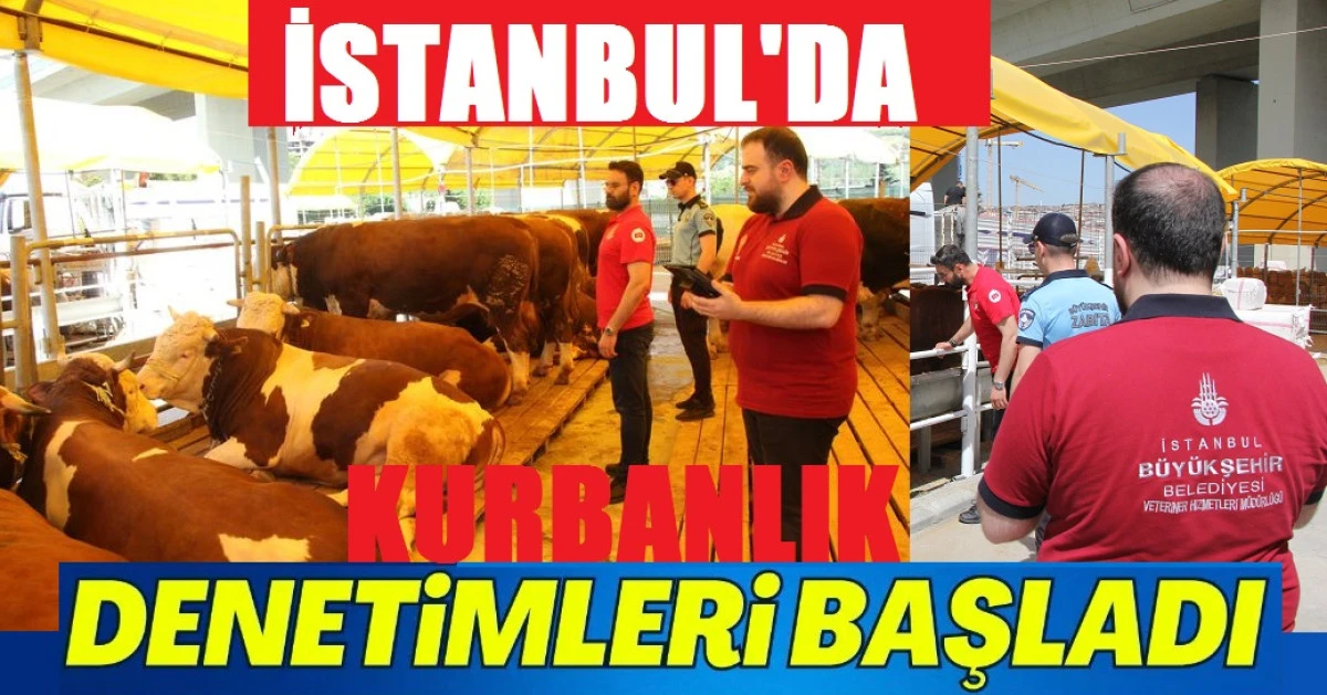 İSTANBUL’DA KURBANLIK DENETİMLERİ BAŞLADI