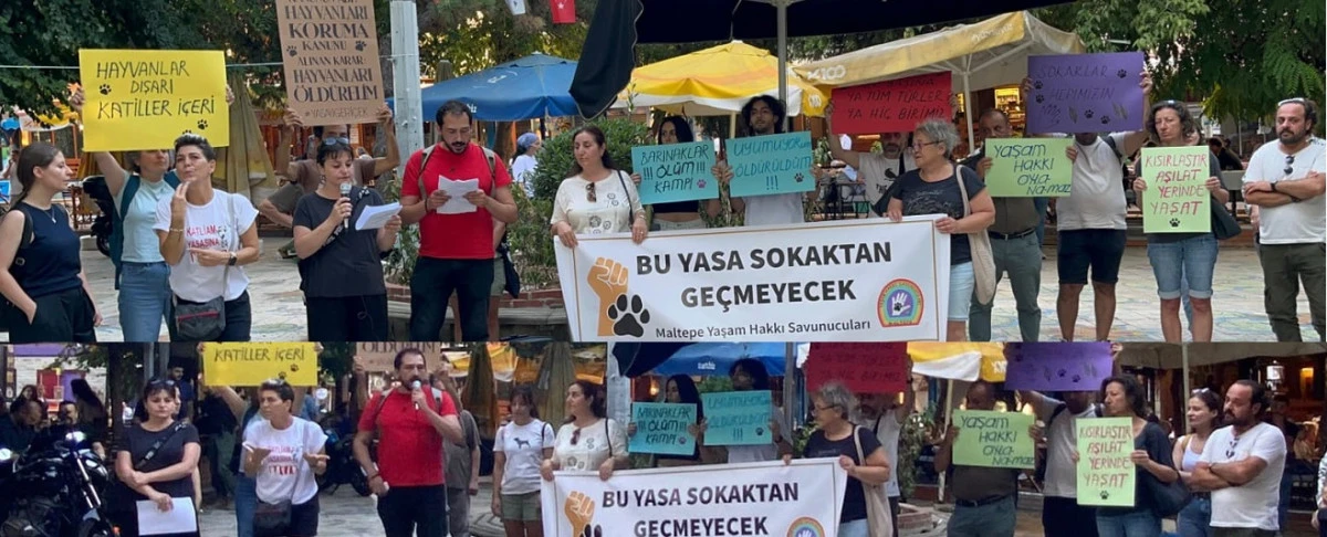 Maltepe Yaşam Hakkı Savunucuları:  Katliam Yasasını Kabul Etmiyoruz!