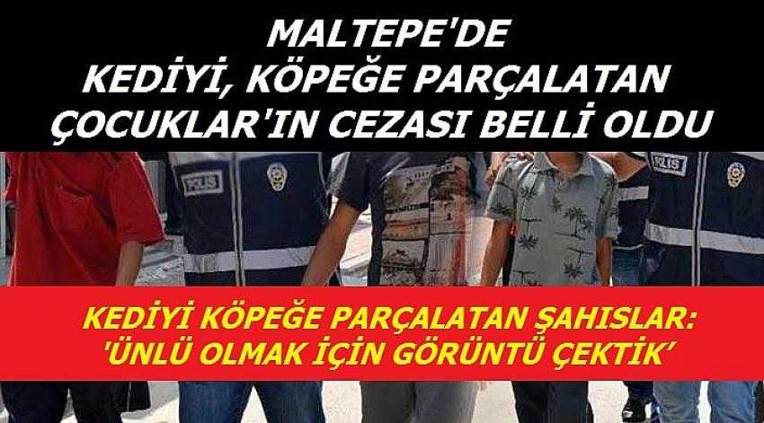 MALTEPE ' DE KEDİYİ, KÖPEĞE PARÇALATAN ÇOCUKLAR ' IN CEZASI BELLİ OLDU