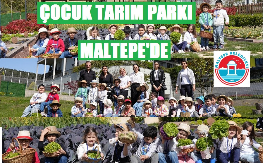 MALTEPE'DE TARIMI YERİNDE ÖĞRENİYORLAR