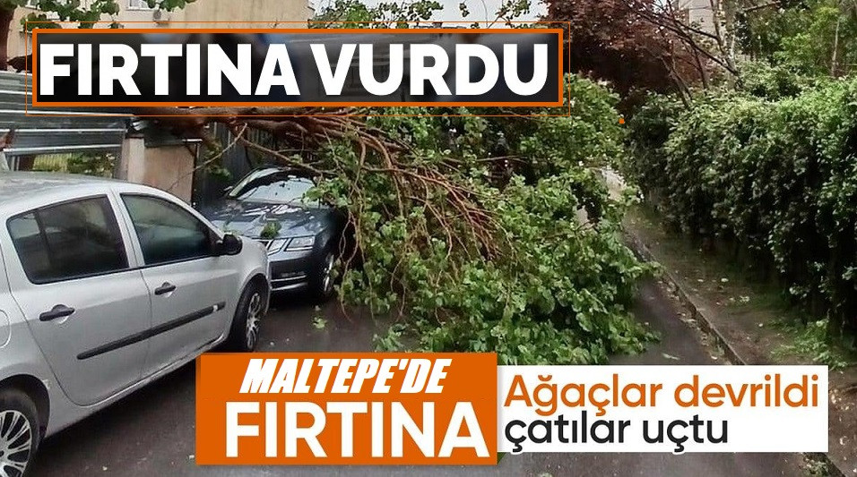 Sağanak yağış nedeniyle Maltepe’de ağaçlar devrildi.