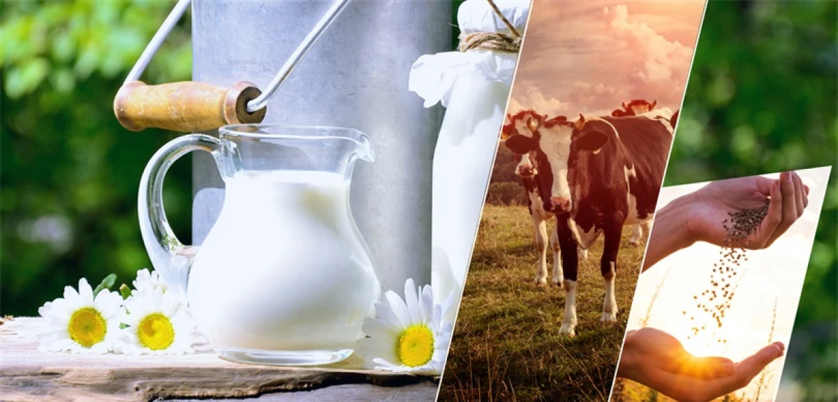 TARIM DESTEKLEME ÖDEMESİ HESAPLARA AKTARILIYOR